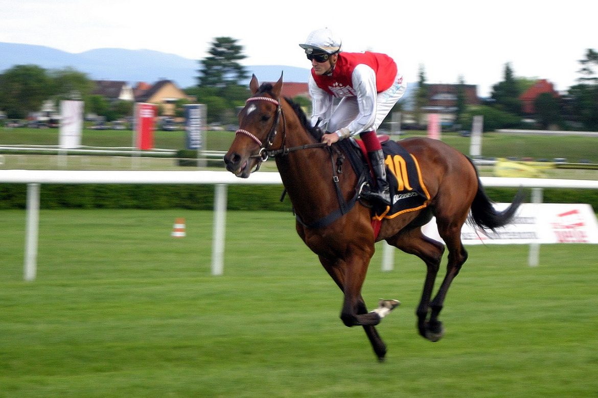 複数のグレード競走勝利馬メイドフロムラッキー、2025年にインディアナのRスター種牡馬牧場へ移籍